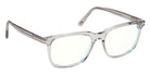 Tom Ford FT6080-B 020 55 - Shiny Gray / Blue Filter #id:ft6080b020_s:102135