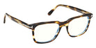 Tom Ford FT6080-B 055 55 - Colored Havana / Blue Filter #id:ft6080b055_s:106135