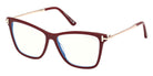 Tom Ford FT6097-B 069 53 - Shiny Bordeaux / Blue Filter #id:ft6097b069_s:106105
