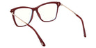 Tom Ford FT6097-B 069 53 - Shiny Bordeaux / Blue Filter #id:ft6097b069_s:106115