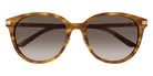 Gucci GG1452SK 004 55 - Havana / Brown Gradient #id:gg1452sk004_s:102100