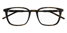 Gucci GG1465OA 003 53 - Havana #id:gg1465oa003_s:100100