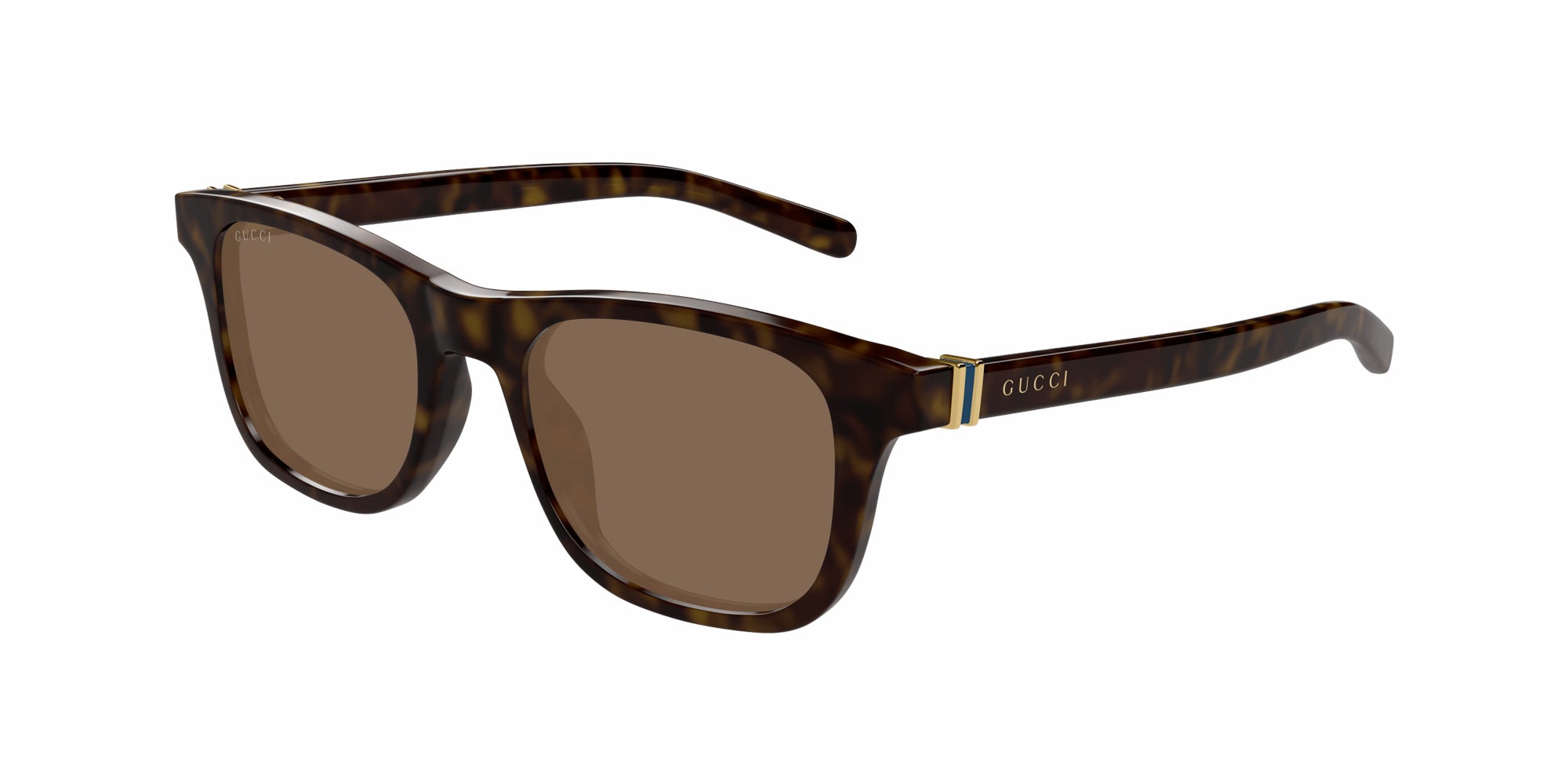 Gucci GG1671S 006 53 - Havana / Brown #id:gg1671s006_s:100105