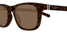 Gucci GG1671S 006 53 - Havana / Brown #id:gg1671s006_s:100110