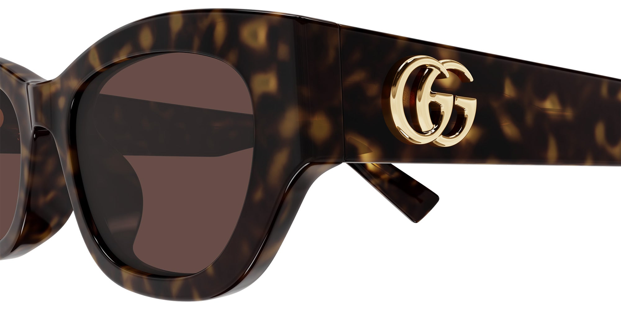 Gucci GG1954SA 002 53 - Havana / Brown #id:gg1954sa002_s:102110