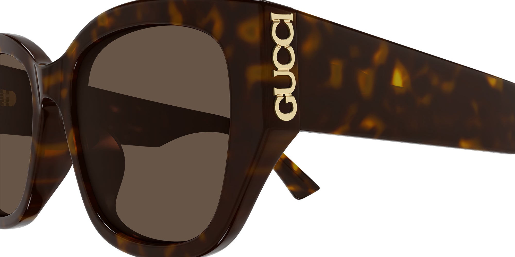 Gucci GG2043SA Square Sunglasses | EyeOns.com