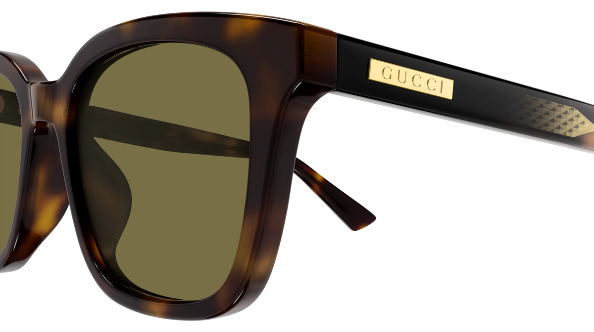 Gucci GG2251SA 002 54 - Havana / Green #id:gg2251sa002_s:102110