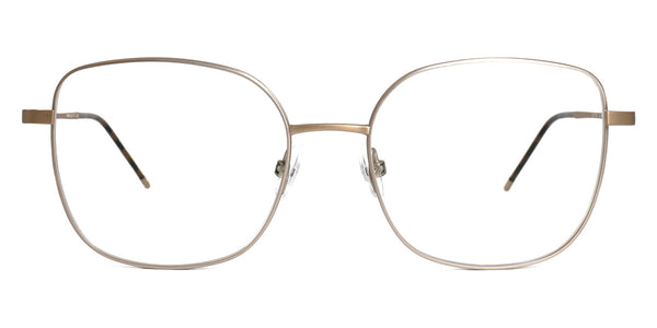 Gold Brushed/Champagne / 53-17-145