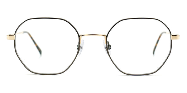 Gold Shiny/Brown / 49-20