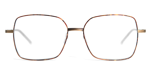 Gold Antique/Havana / 53-15-137