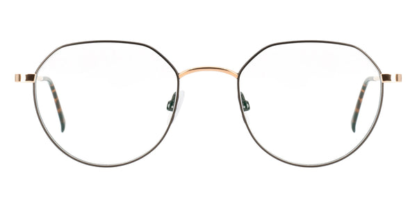 Gold Shiny/Brown / 49-19