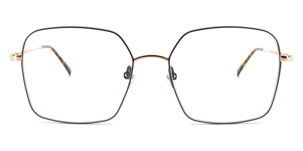 Gold Shiny/Brown / 54-17-145