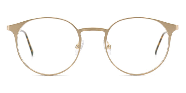 Gold Brushed / 48-19