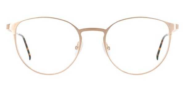 Gold Brushed / 50-19