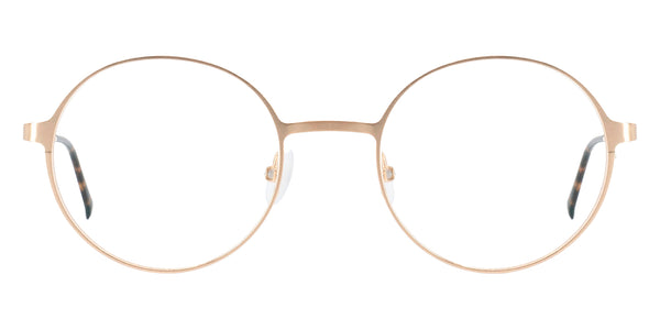 Gold Brushed / 48-19