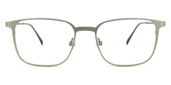 Olive/Light Green Gradient / 48-16-137