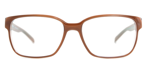 Hazelnut / 53-16-137