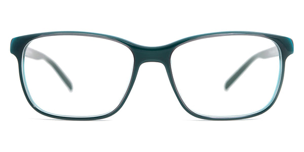 Rain Forest / 54-15-140