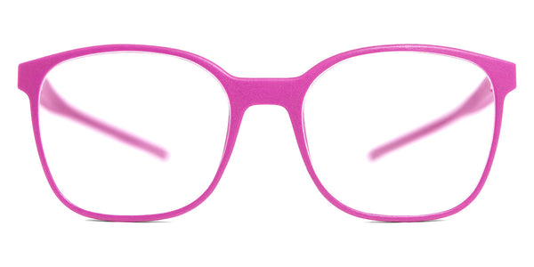 Flamingo / 52-17-138