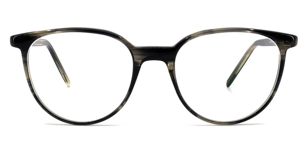 Gray Transparent Lined / 48-16-148