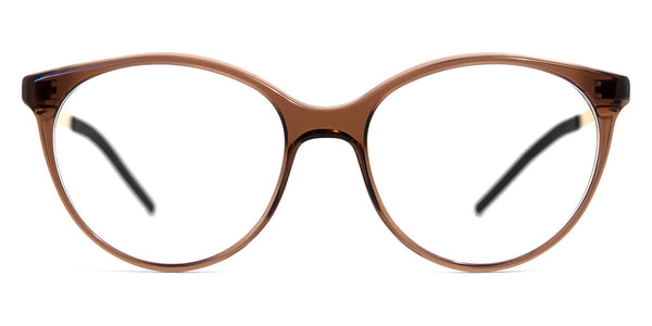 Dark Transparent Brown/Gold / 49-15-138