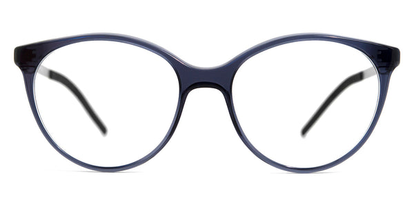 Transparent Dark Gray/Silver / 49-15-138