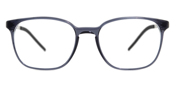 Transparent Dark Gray/Silver / 51-16-138