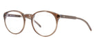Götti WHITBY DTB 49 - Transparent Dark Brown #id:gotopwhitbydtb_s:104105