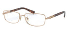 Coach HC5110B 9331 54 - Rose Gold #id:hc5110b9331_s:100100