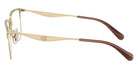 Coach HC5178 9439 54 - Satin Light Gold/Brown #id:hc51789439_s:108110
