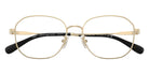 Coach HC5187D 9005 54 - Shiny Light Gold #id:hc5187d9005_s:102120