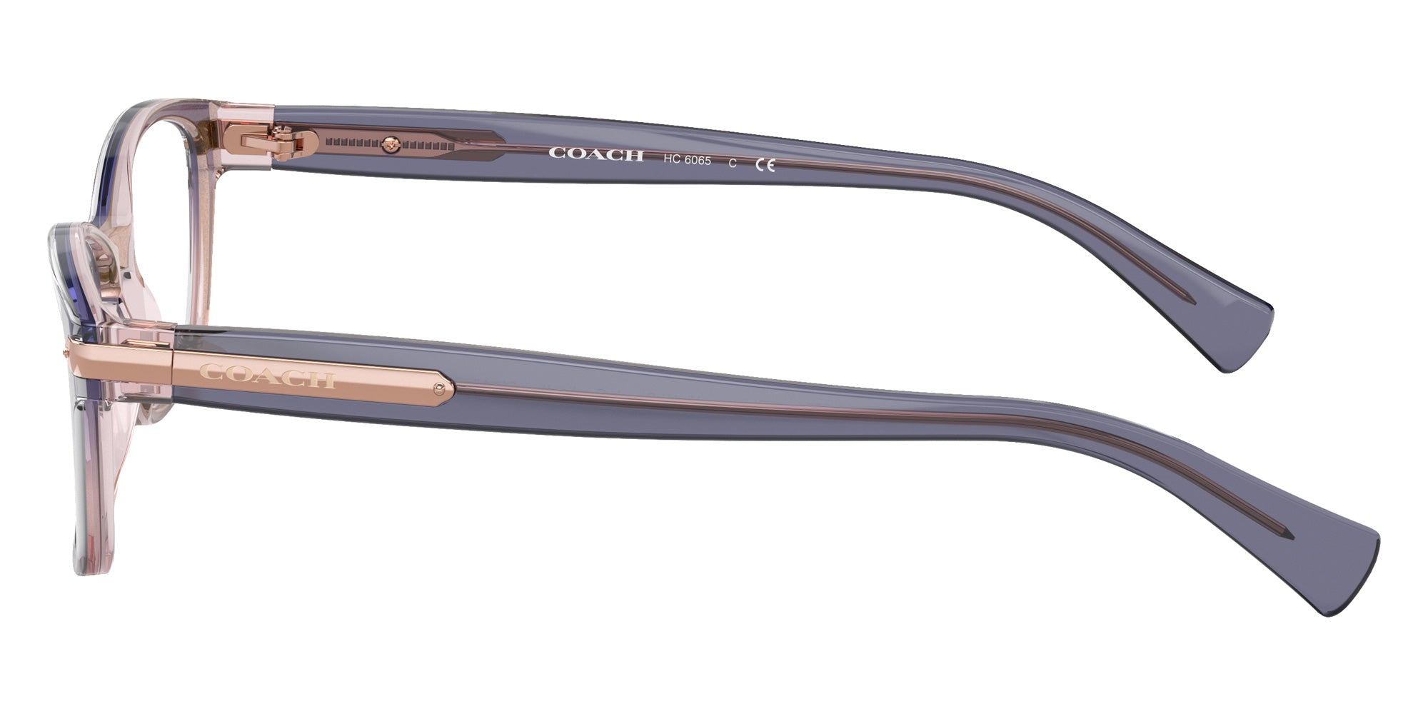 Coach HC6065 5554 51 - Shimmer Violet Peach Gradient #id:hc60655554_s:116110