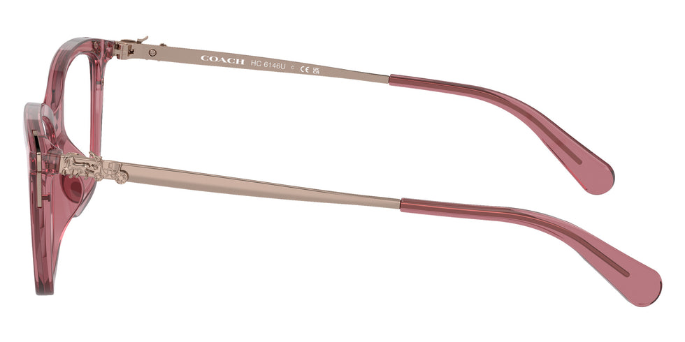 Coach HC6146U 5800 53 - Transparent Berry #id:hc6146u5800_s:102110