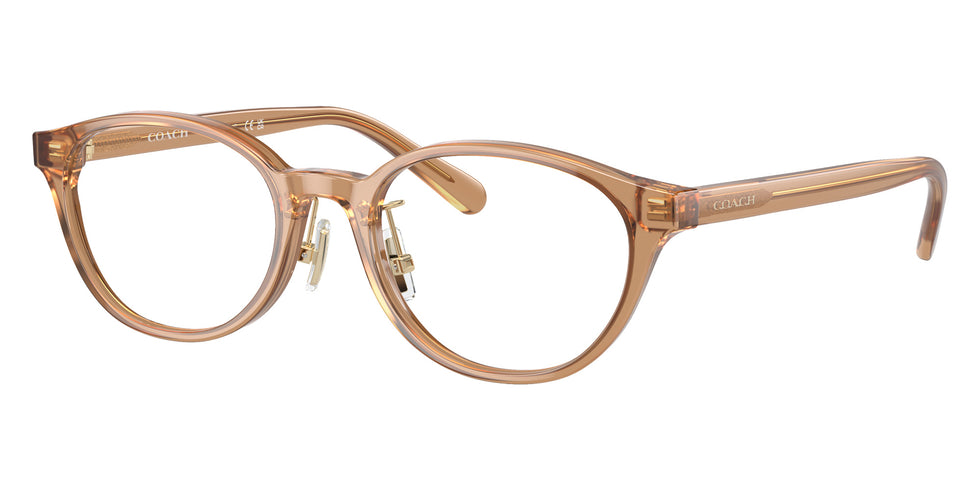Coach HC6152D 5654 49 - Transparent Brown #id:hc6152d5654_s:100105