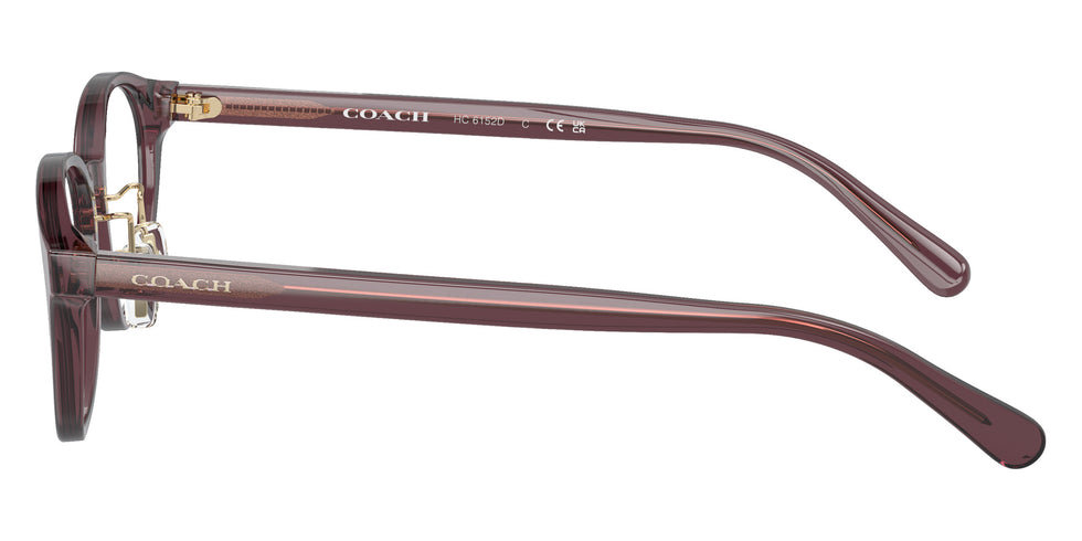 Coach HC6152D 5677 49 - Transparent Mauve #id:hc6152d5677_s:104110