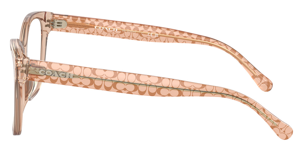Coach HC6207U 5561 50 - Transparent Brown #id:hc6207u5561_s:104110
