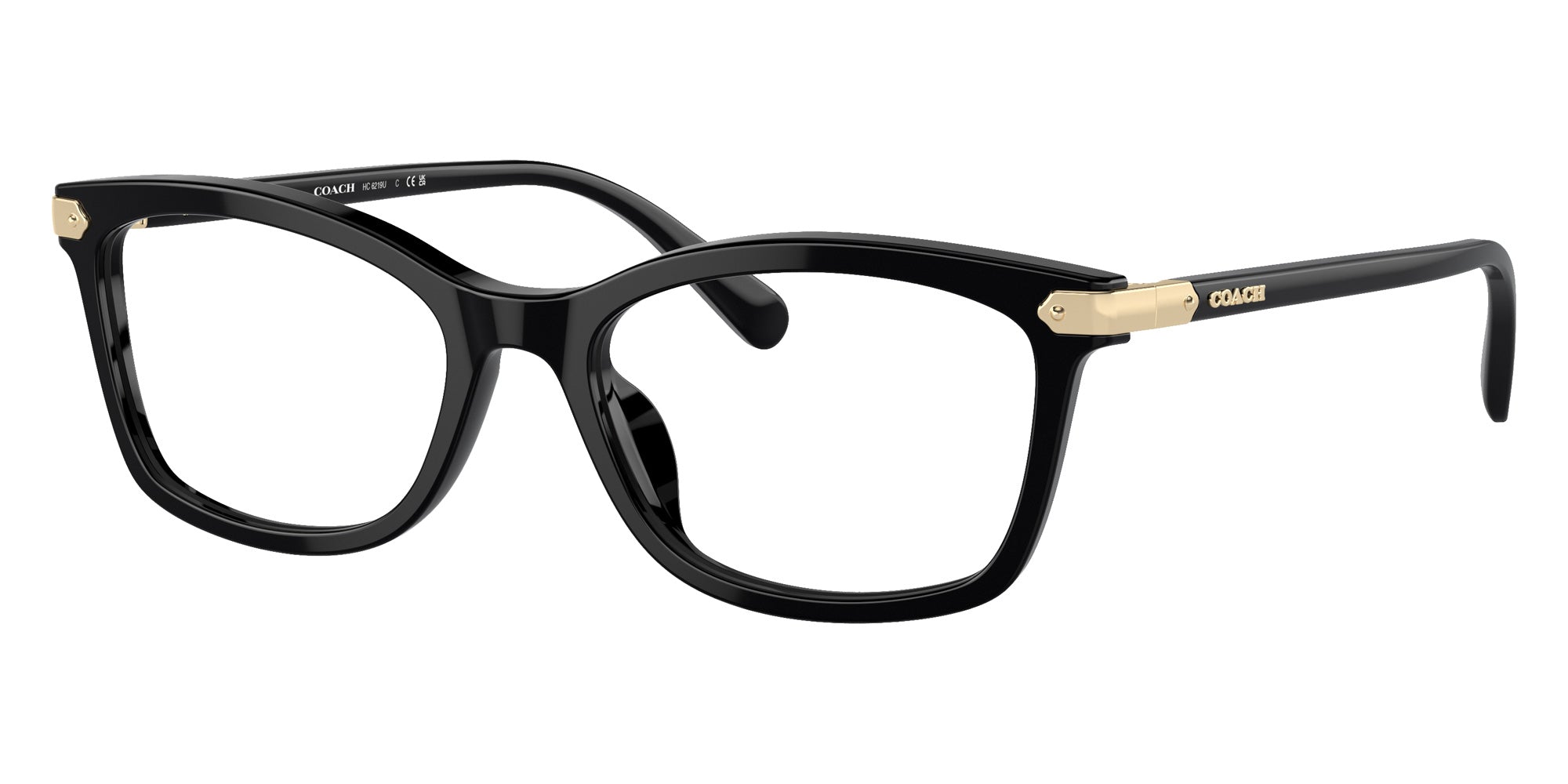 Coach HC6219U 5002 51 - Black #id:hc6219u5002_s:100105