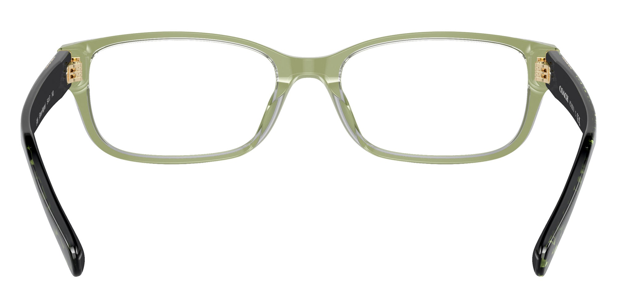 Coach HC6221U 5786 54 - Transparent Green Hopper #id:hc6221u5786_s:106115