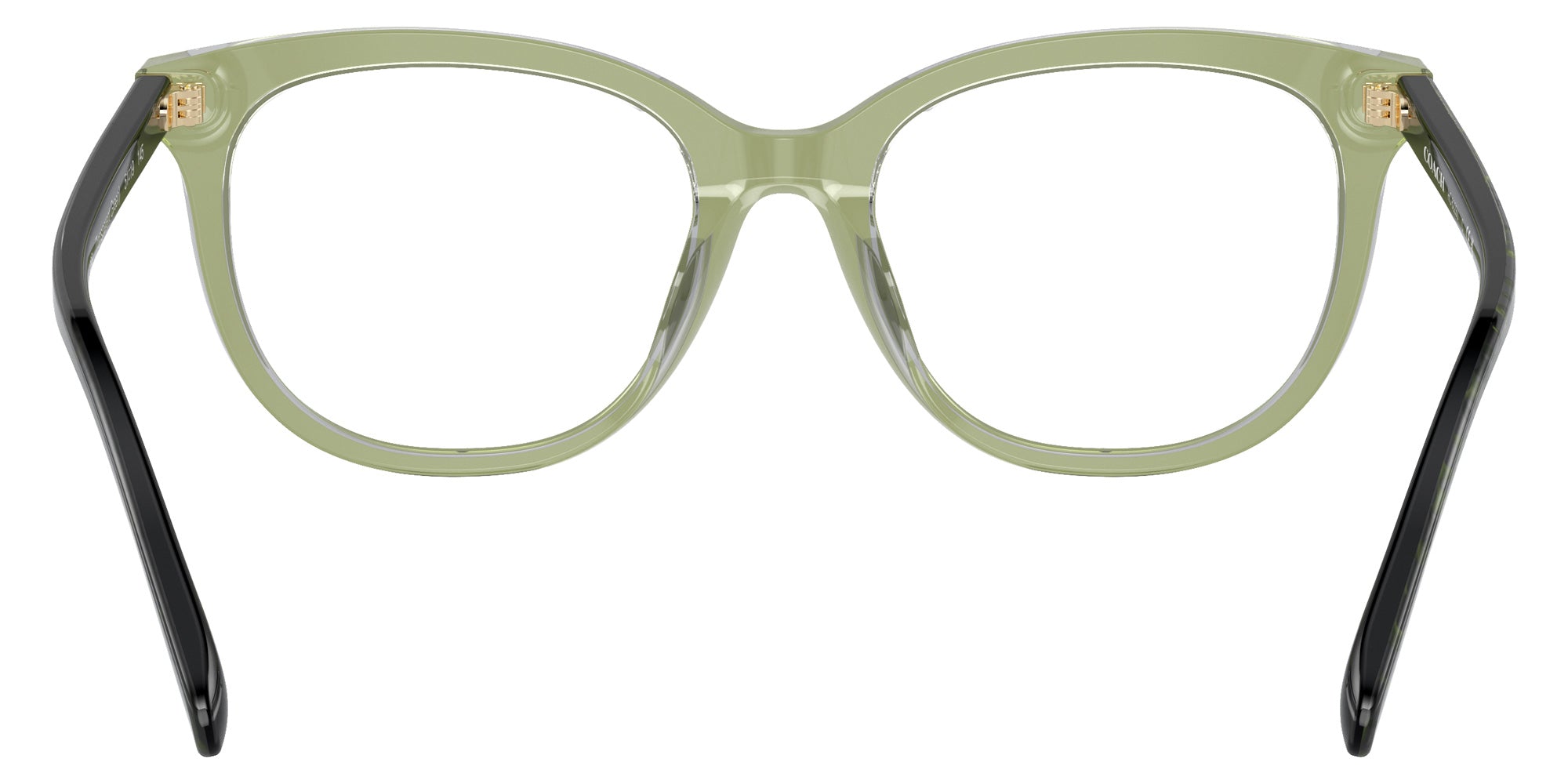 Coach HC6223U 5786 51 - Transparent Green Hopper #id:hc6223u5786_s:100115