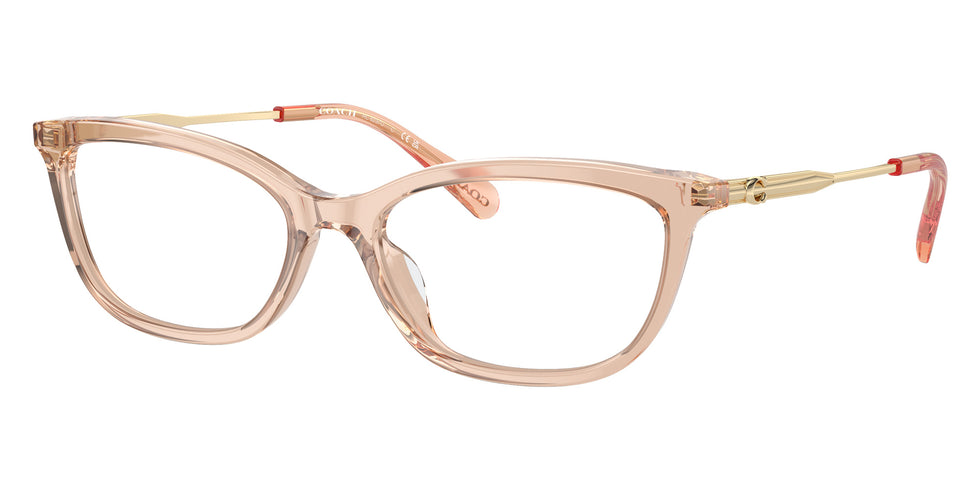 Coach HC6237U 5561 54 - Transparent Champagne #id:hc6237u5561_s:102105