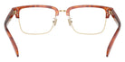 Coach HC6253 5774 54 - Caramel Tortoise #id:hc62535774_s:106115