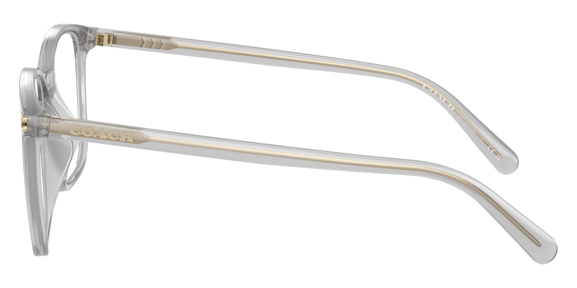 Coach HC6254BD 5614 55 - Transparent Dove #id:hc6254bd5614_s:102110