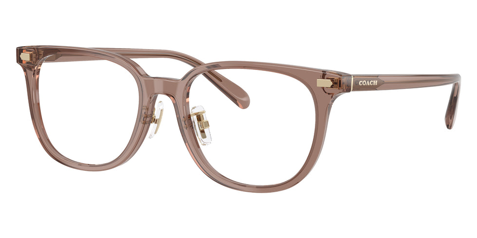 Coach HC6269D 5819 53 - Transparent Light Brown #id:hc6269d5819_s:106105
