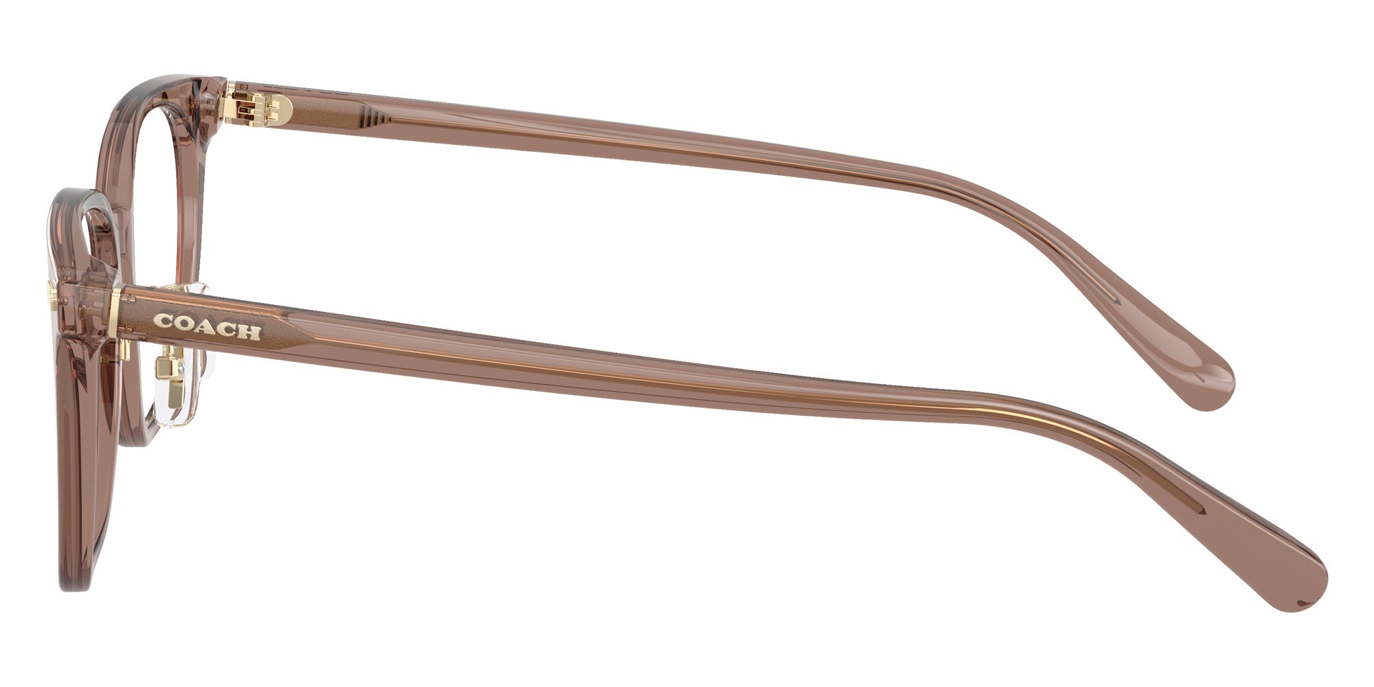 Coach HC6269D 5819 53 - Transparent Light Brown #id:hc6269d5819_s:106110