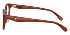 Coach HC6280D 5847 48 - Transparent Brown #id:hc6280d5847_s:106110