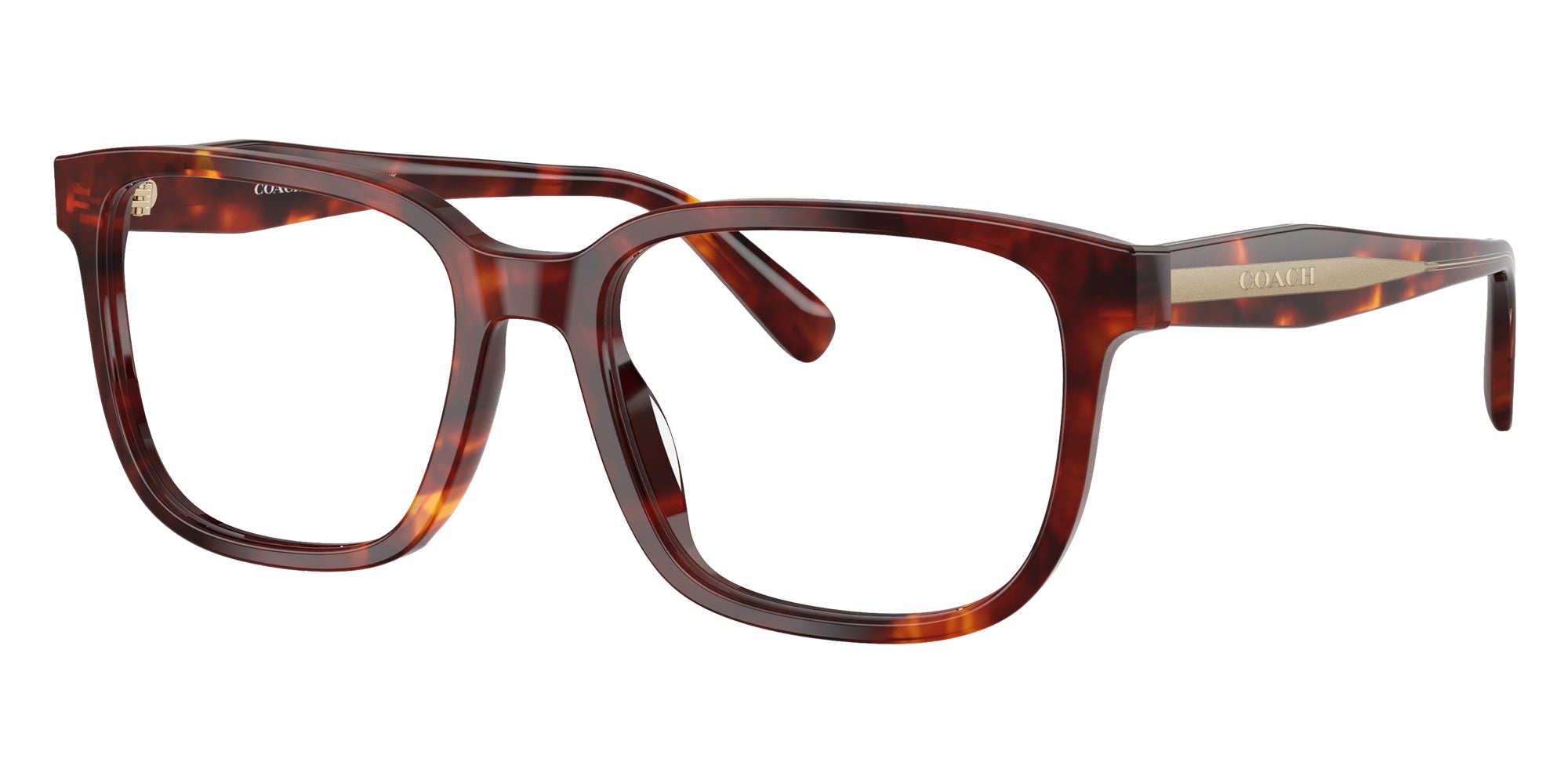 Coach HC6291U 5938 55 - Walnut Tortoise #id:hc6291u5938_s:104105