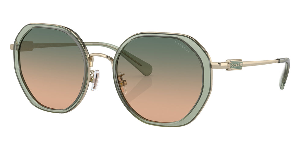 Coach HC7141 CD477 900513 54 - Transparent Green / Green Brown Gradient #id:hc7141900513_s:102105