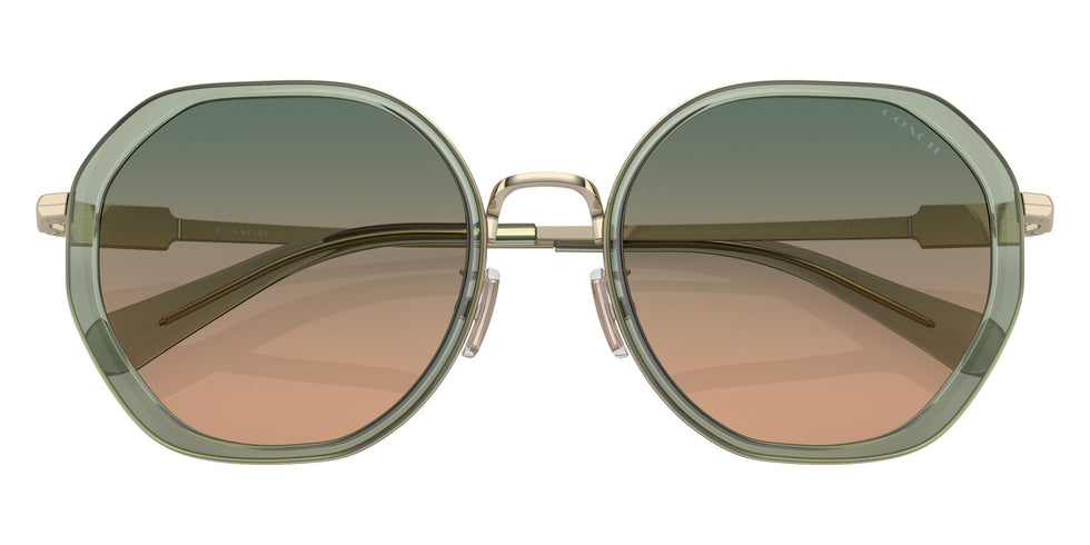 Coach HC7141 CD477 900513 54 - Transparent Green / Green Brown Gradient #id:hc7141900513_s:102120