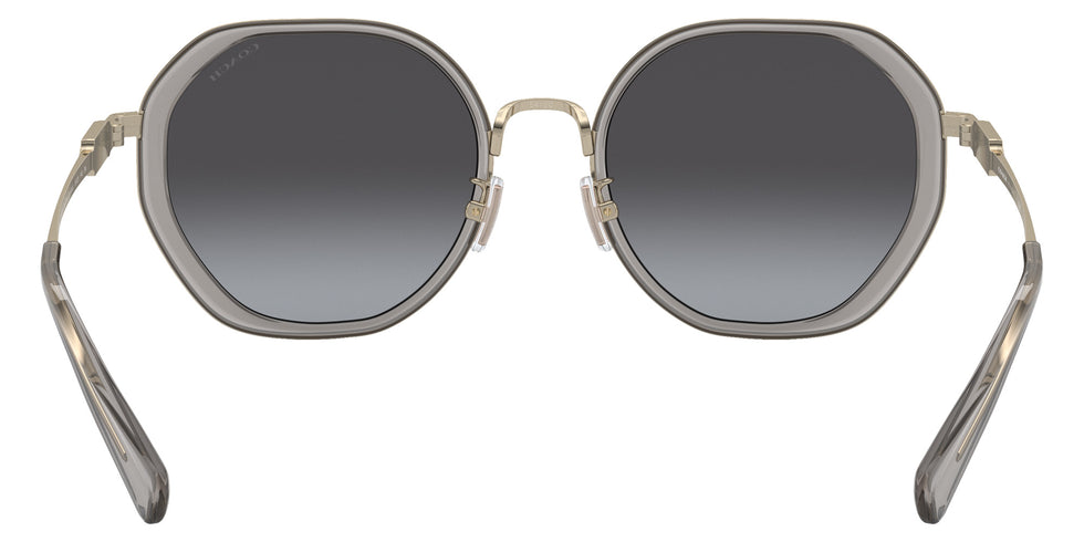 Coach HC7141 CD477 90058G 54 - Transparent Gray / Gray Gradient #id:hc714190058g_s:104115
