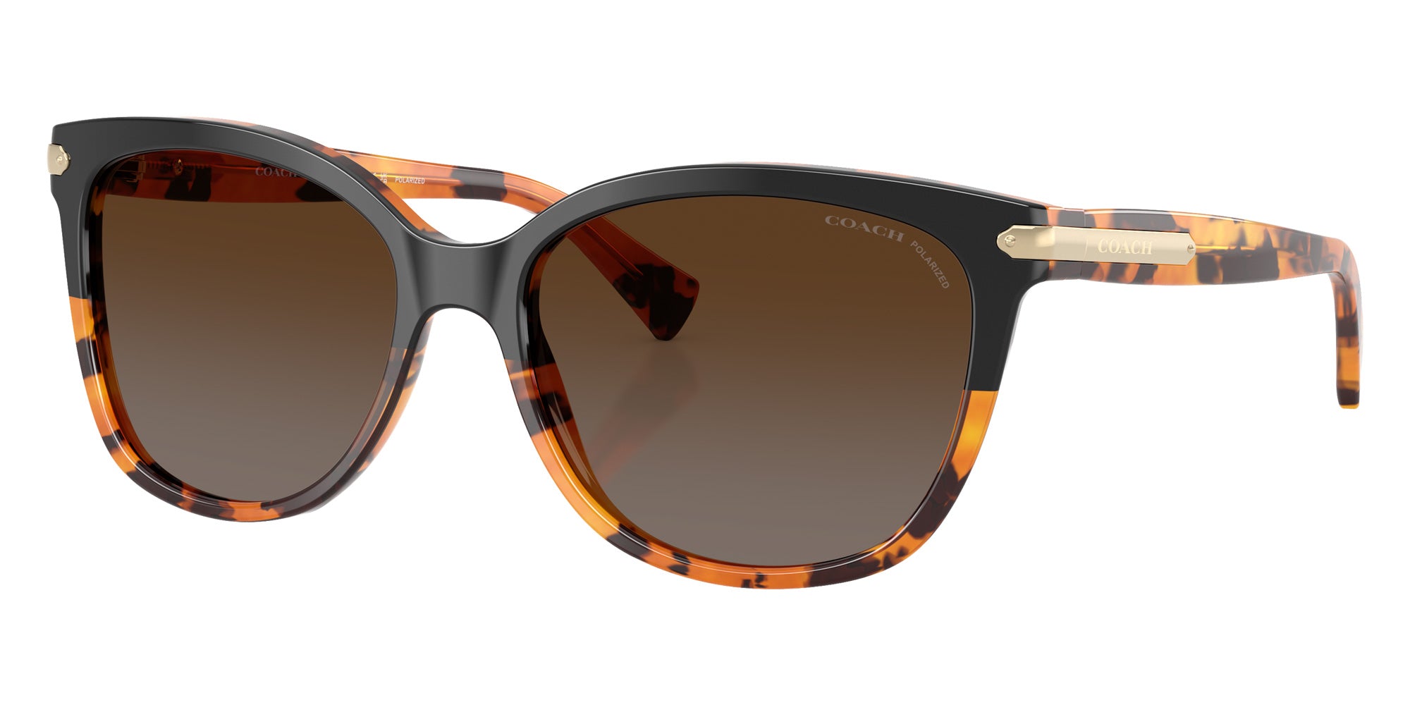 Coach HC8132 L109 5438T5 57 - Black Tortoise Gradient / Brown Gradient Polarized #id:hc81325438t5_s:106105